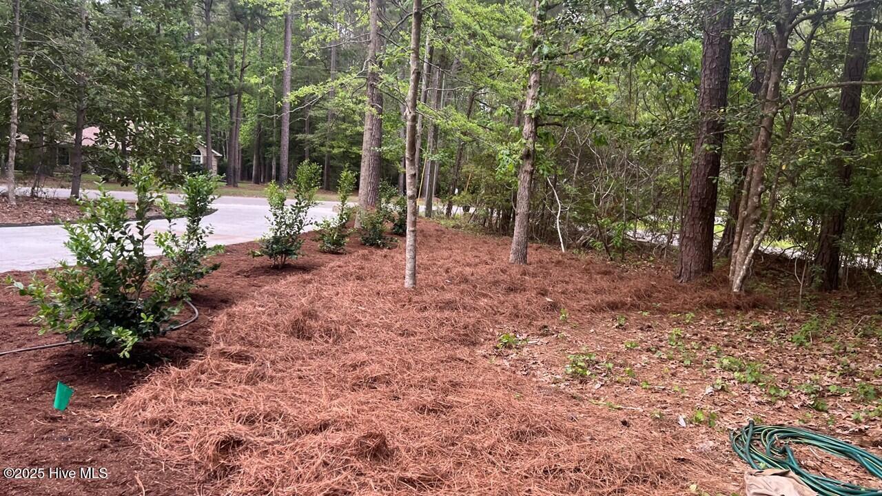 20 Sunfield Drive Property Photo 59