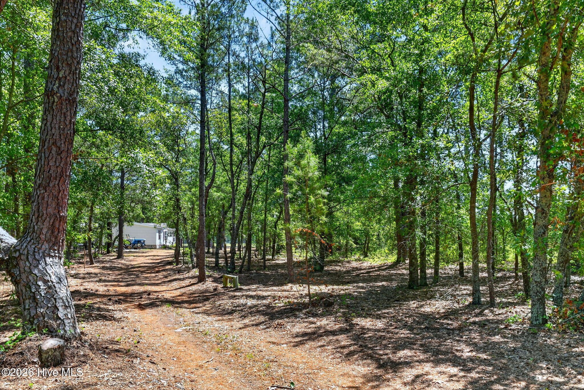 21549 Nc 210 Property Photo 33