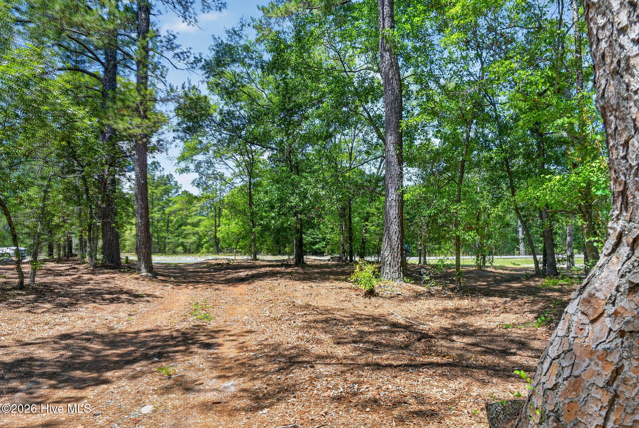 21549 Nc 210 Property Photo 34