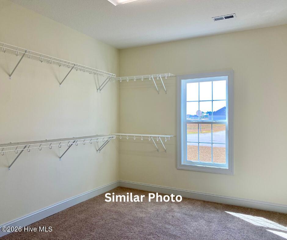 286 Water Wagon Trail Property Photo 22
