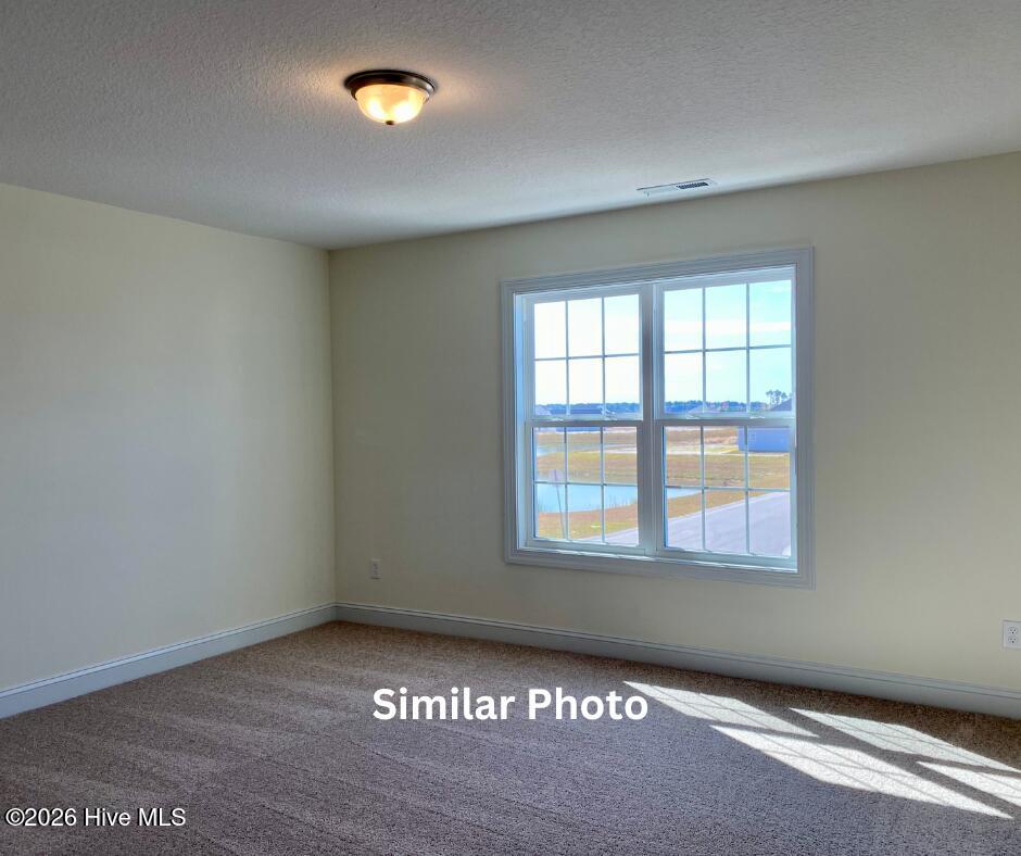 286 Water Wagon Trail Property Photo 31