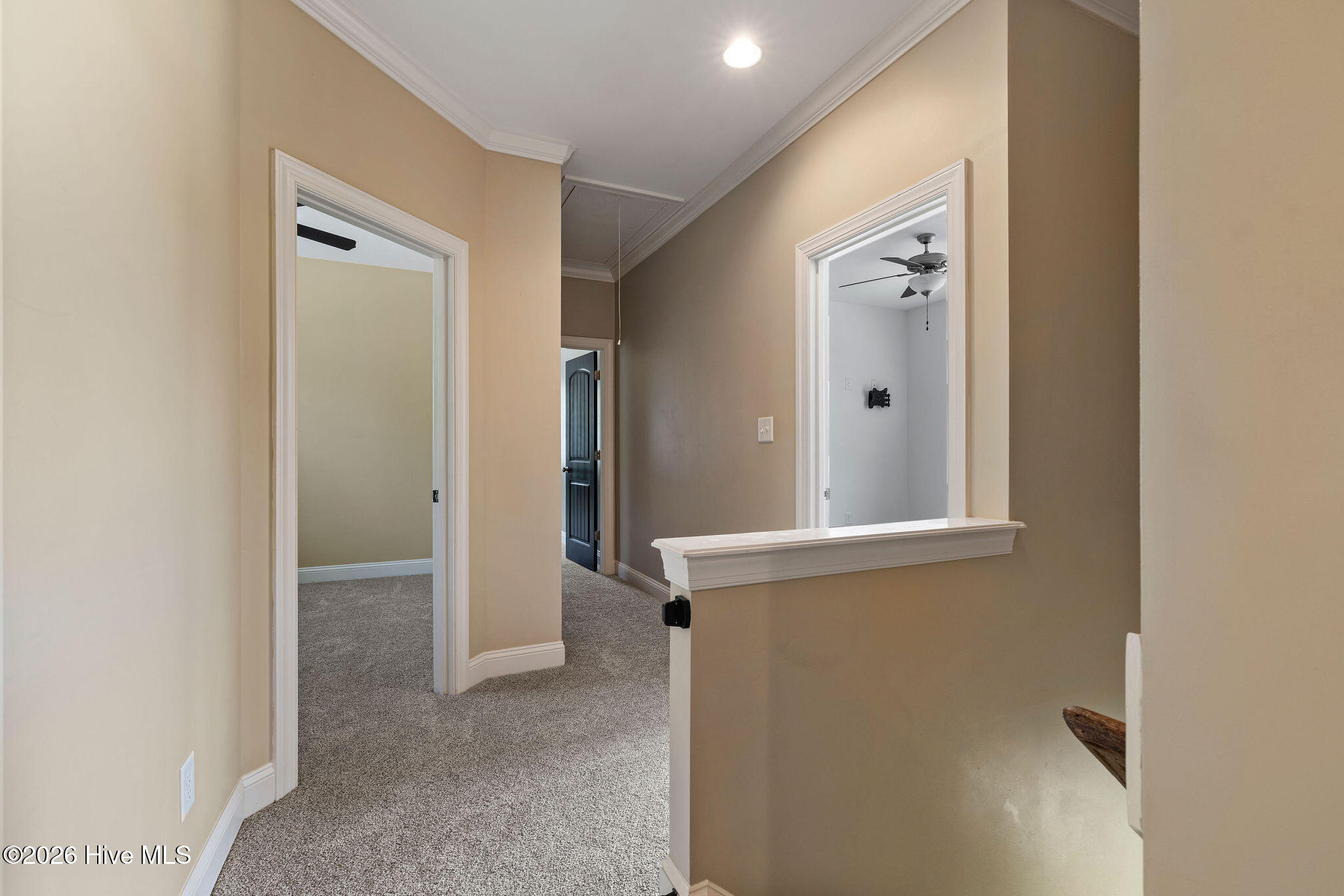 115 Christopher Allen Drive Property Photo 25