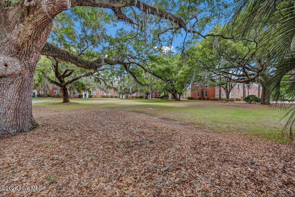2940 Oleander Drive A2 Property Photo 29