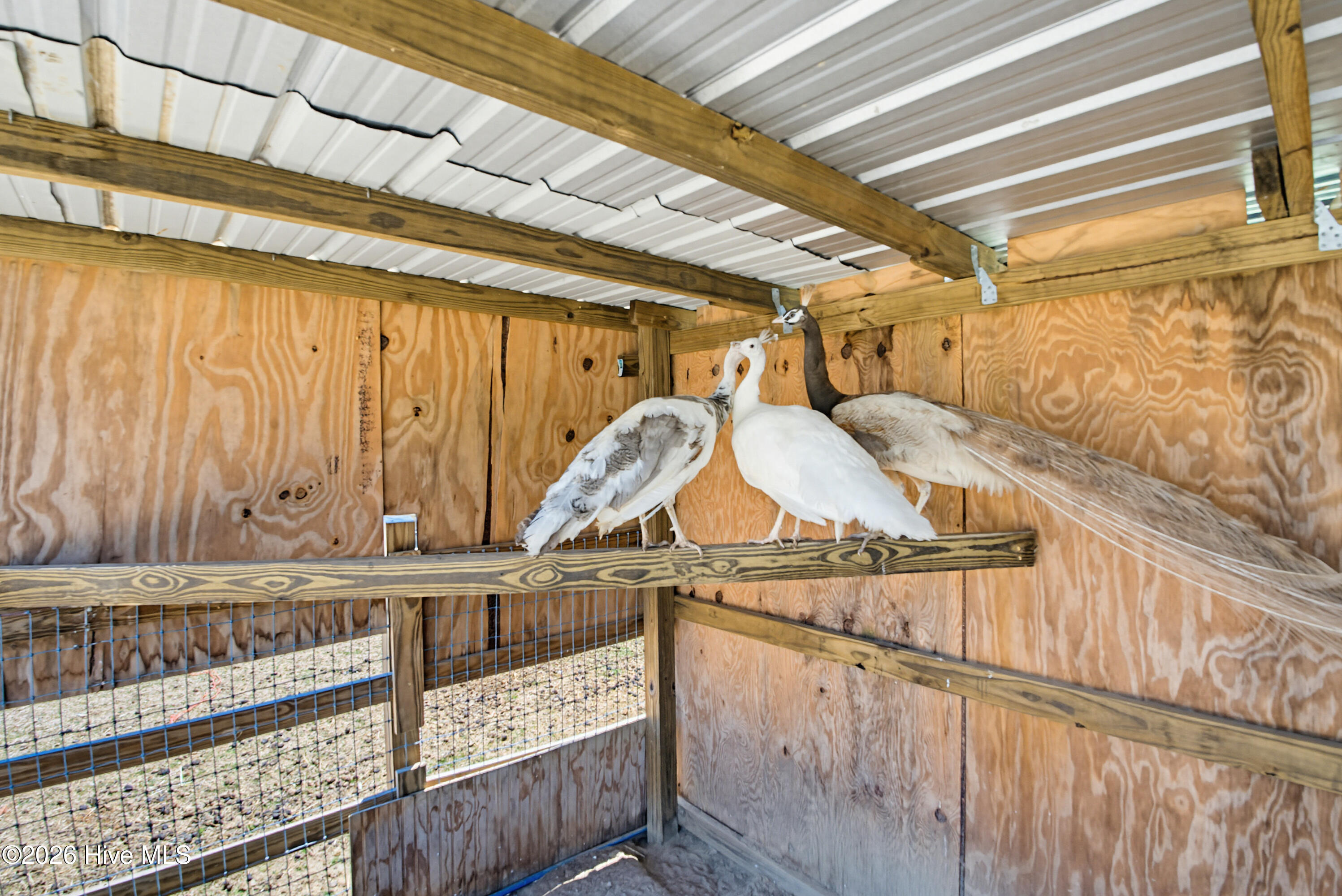 6615 Silver Spoon Road Property Photo 41