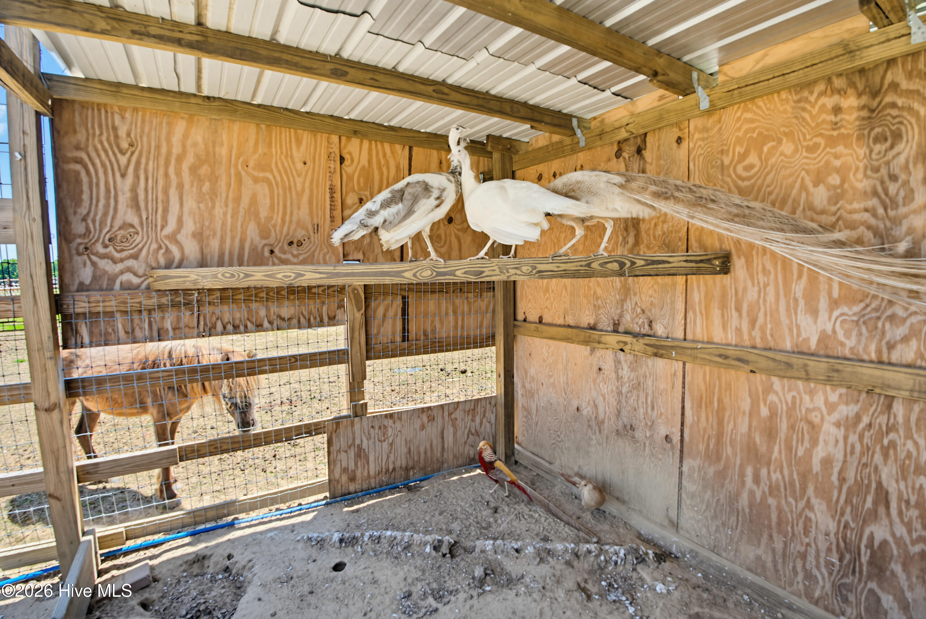 6615 Silver Spoon Road Property Photo 42