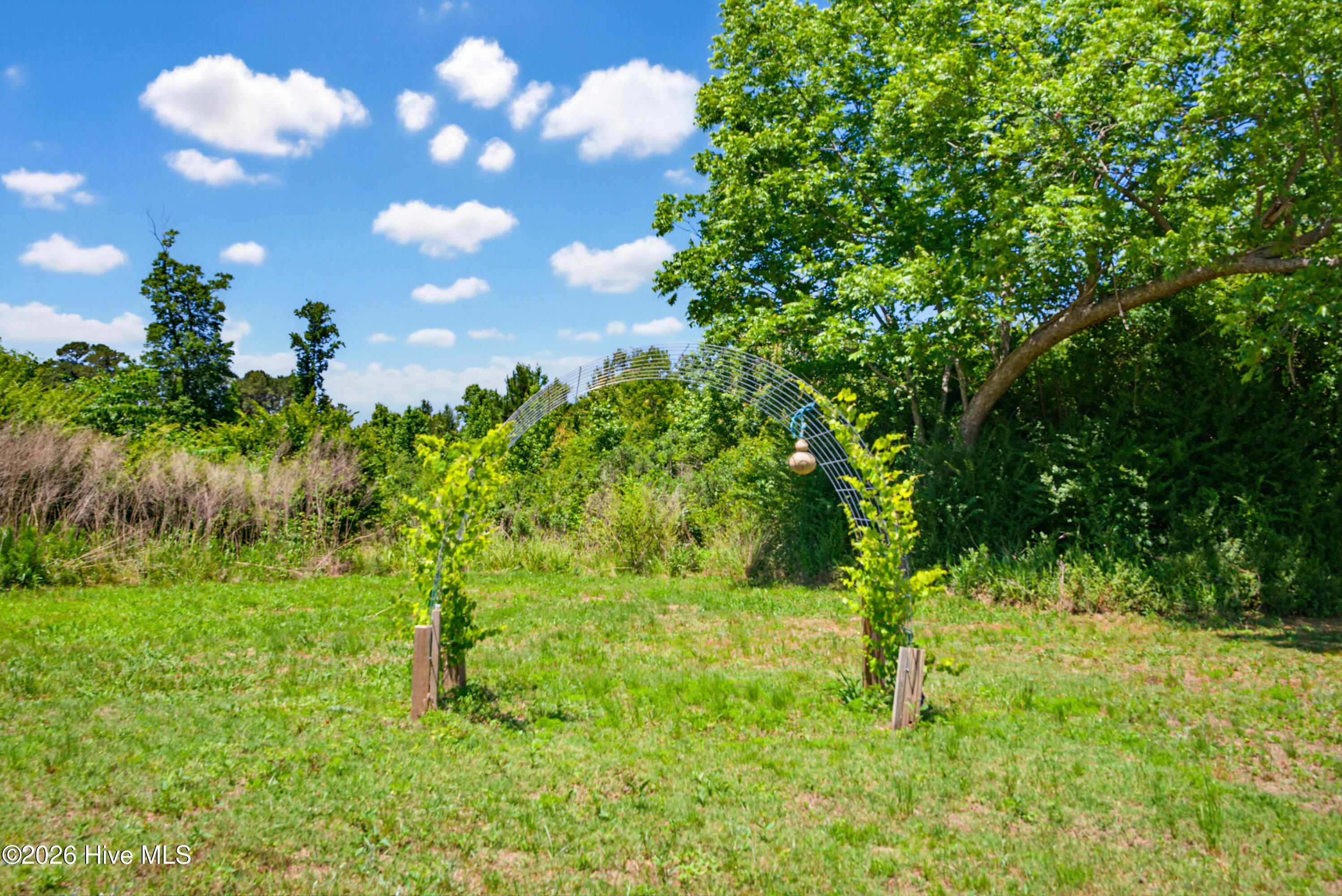 6615 Silver Spoon Road Property Photo 51