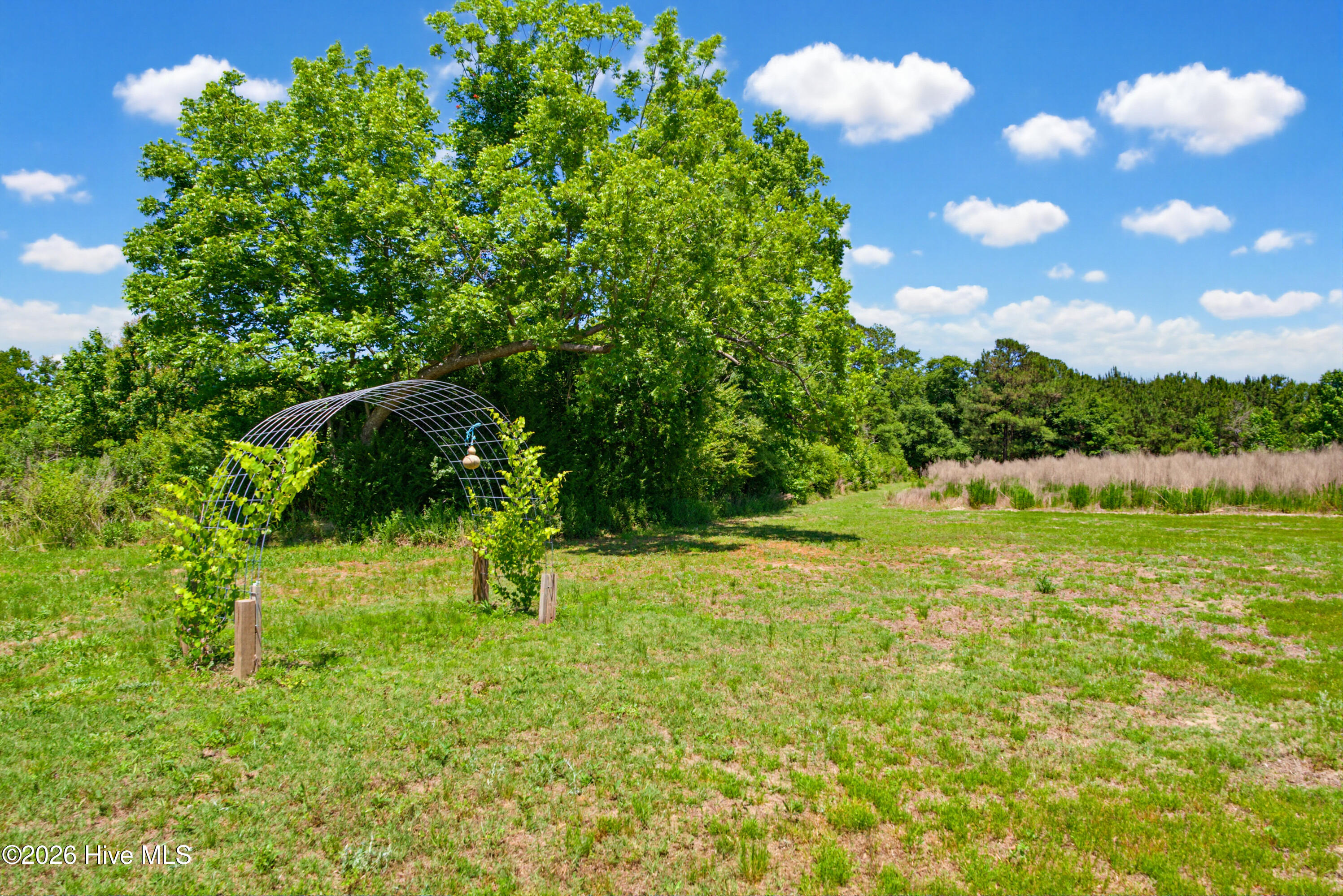 6615 Silver Spoon Road Property Photo 52