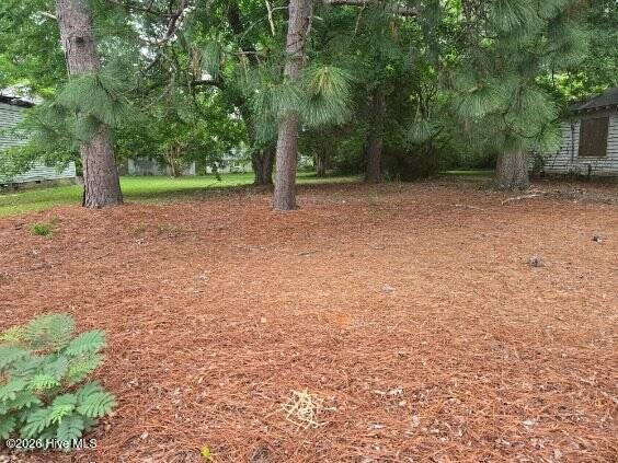 1115 Hargrove Street Property Photo 2