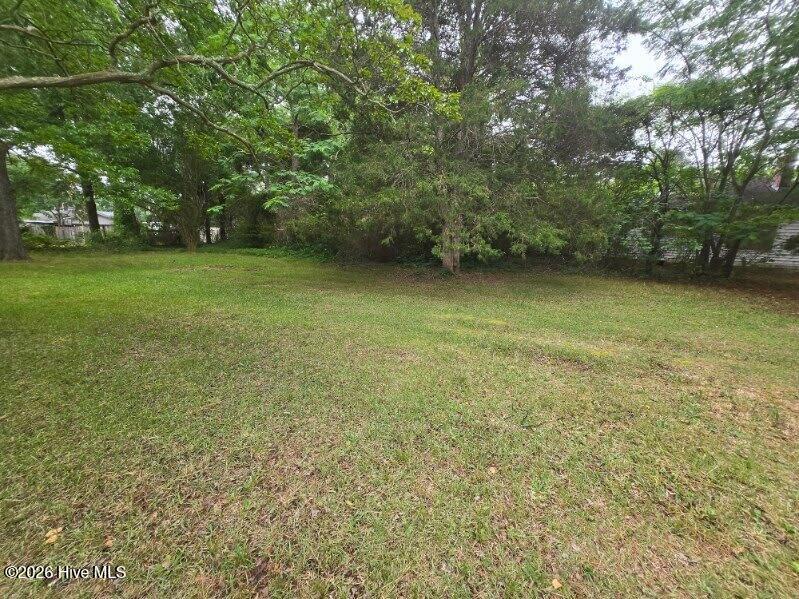 1115 Hargrove Street Property Photo 3