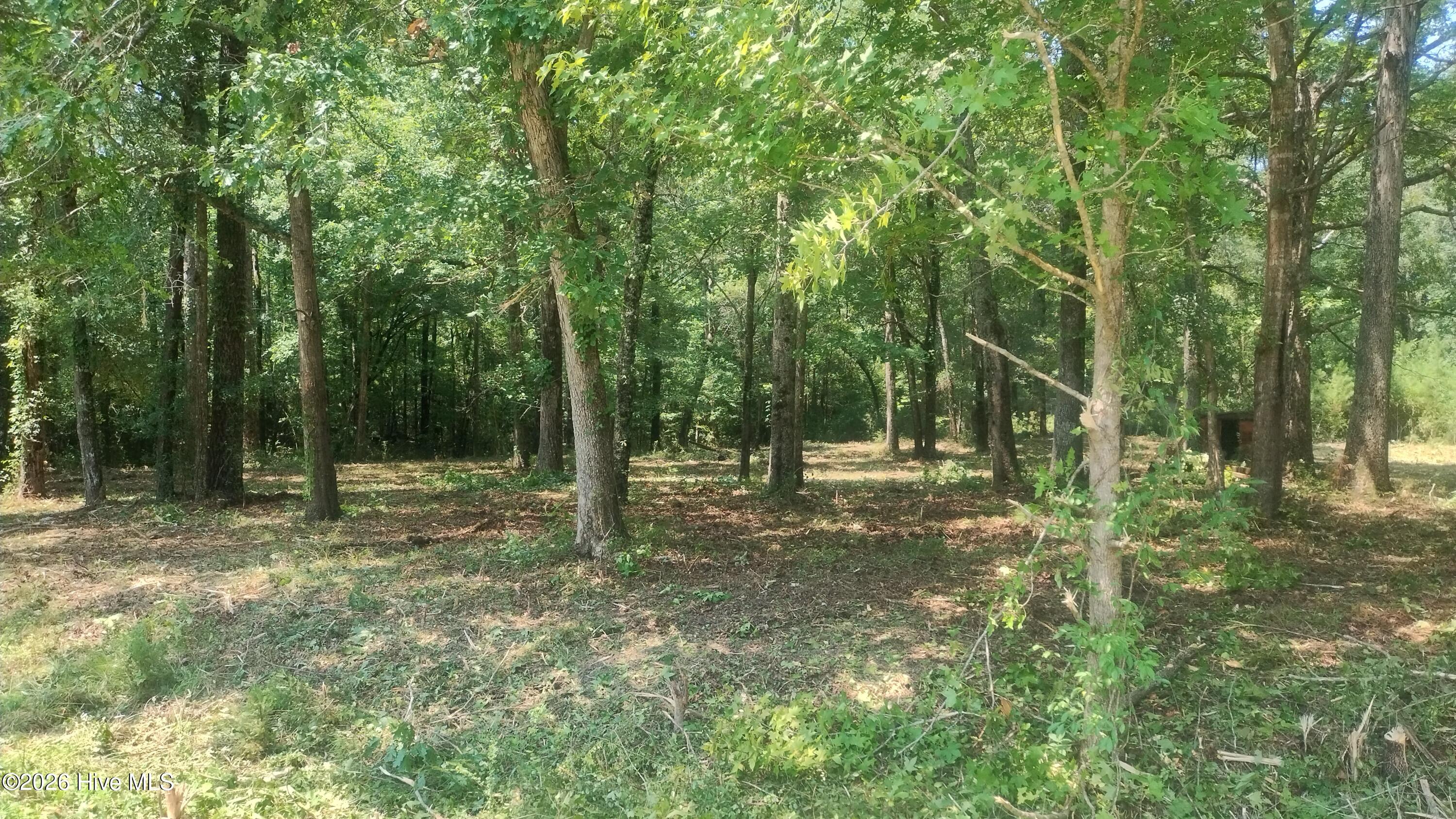 907 Hickory Drive Ne Property Photo 4