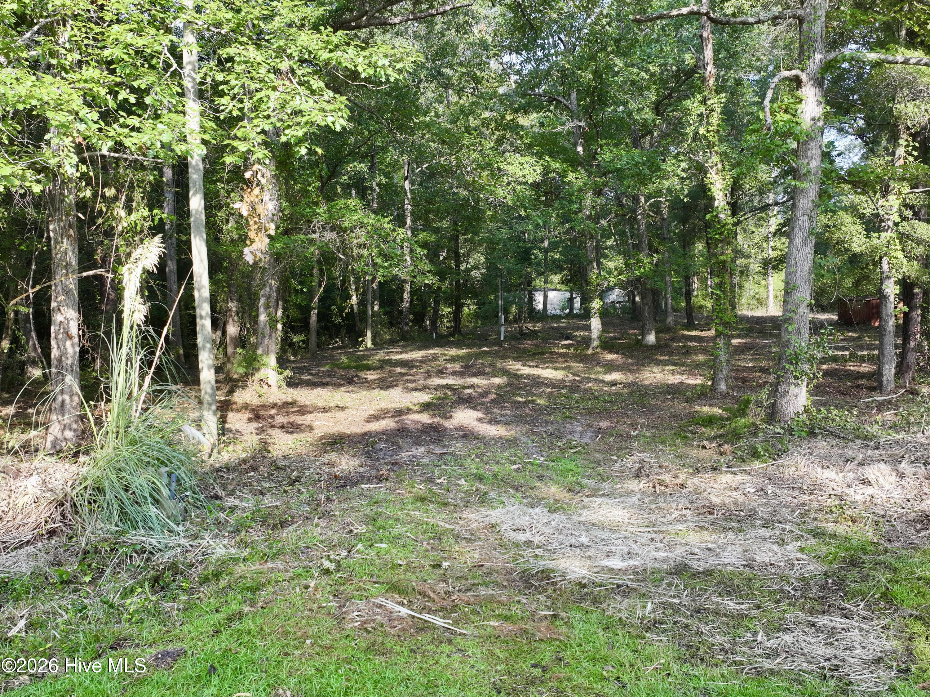 907 Hickory Drive Ne Property Photo 6