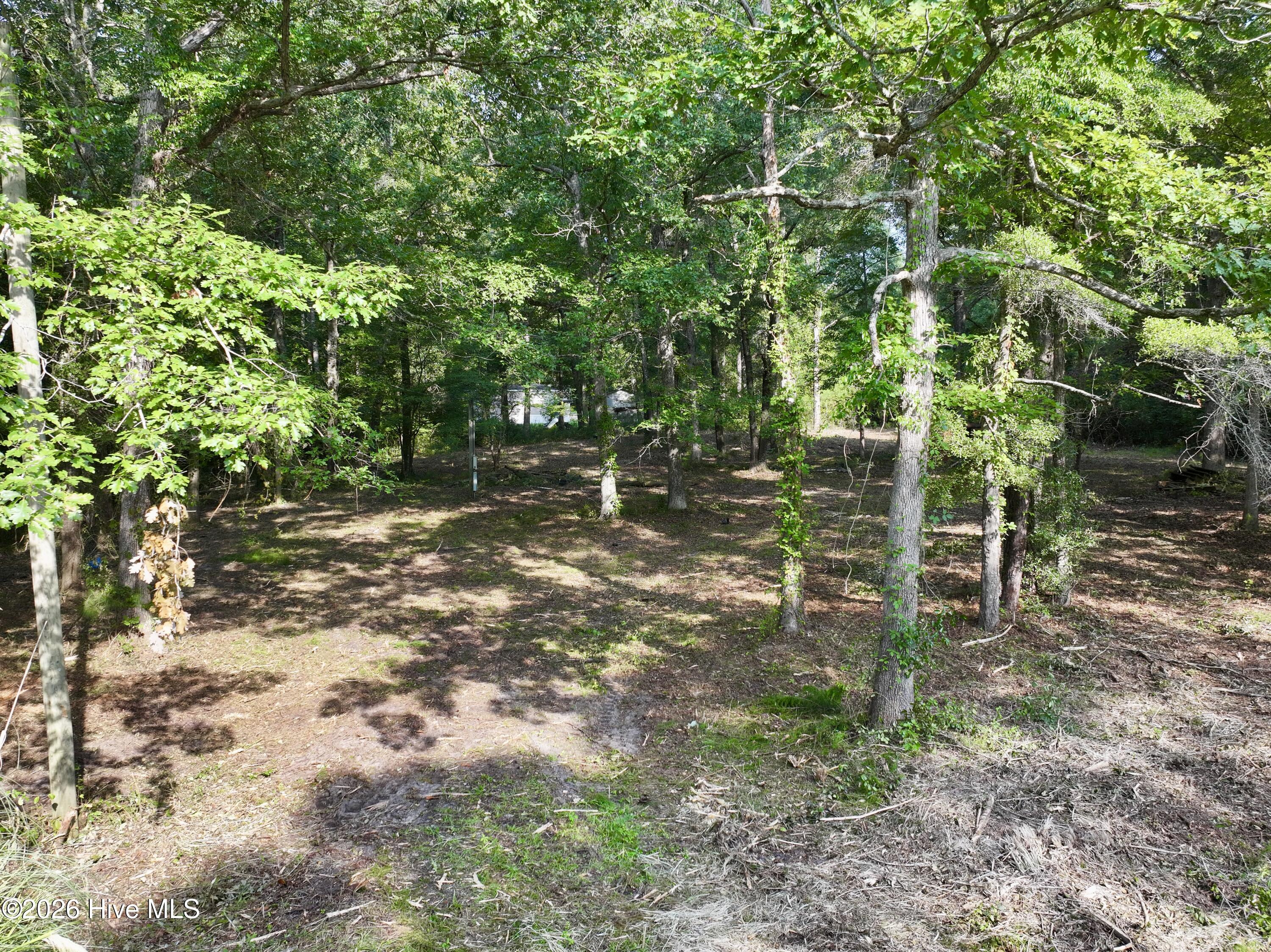 907 Hickory Drive Ne Property Photo 10