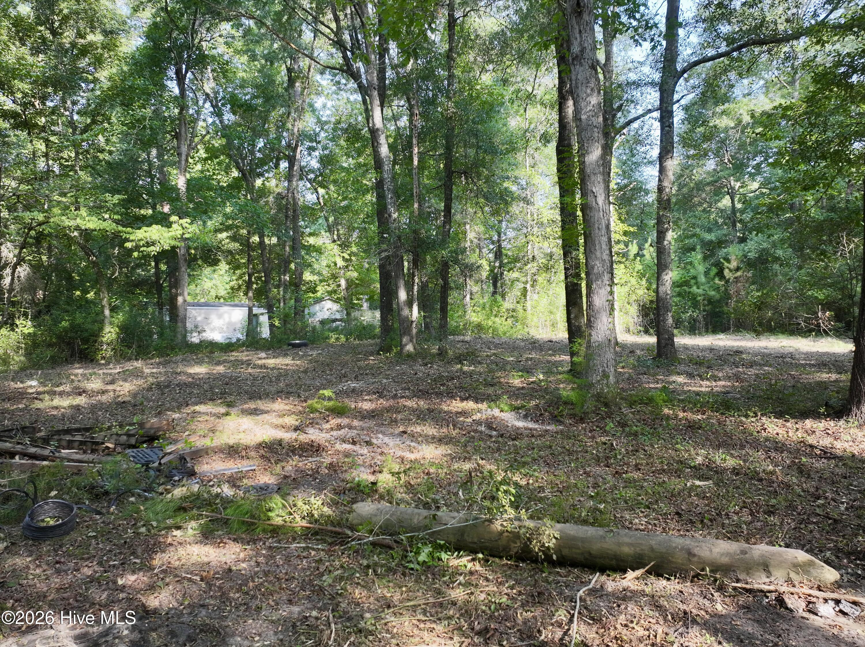 907 Hickory Drive Ne Property Photo 23