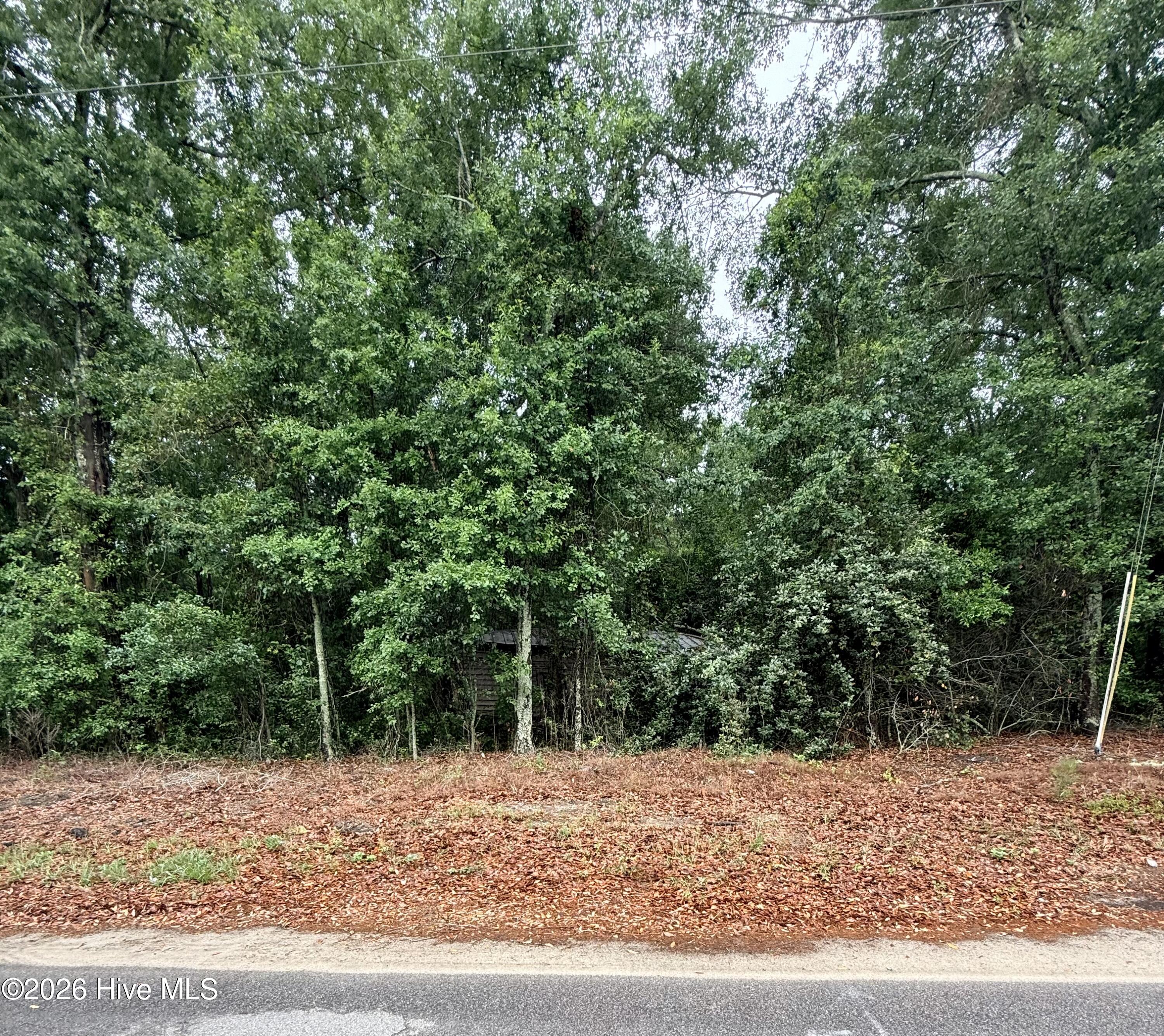 0 Alma Drive Property Photo 1
