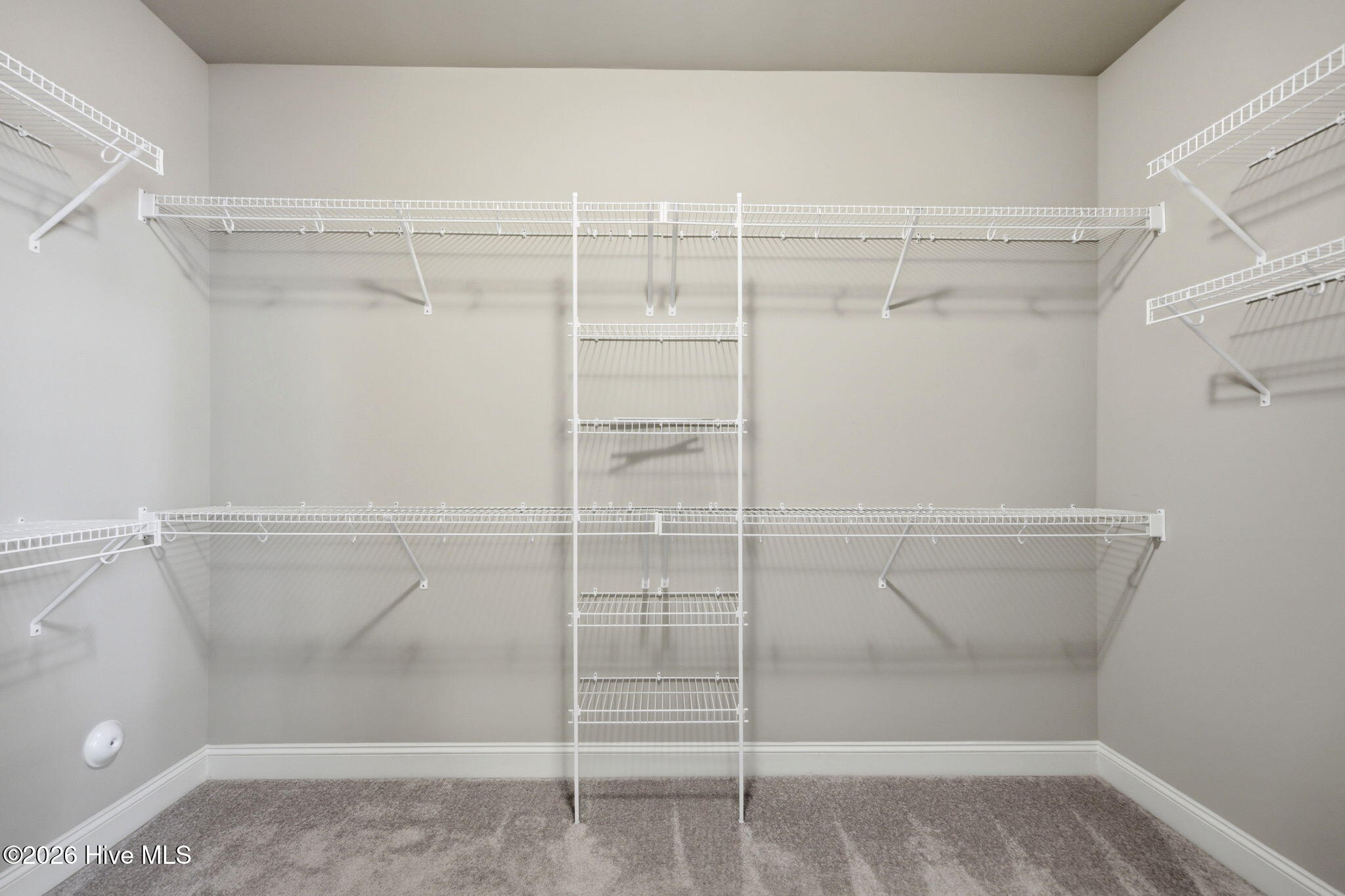 343 Belvedere Drive Property Photo 18