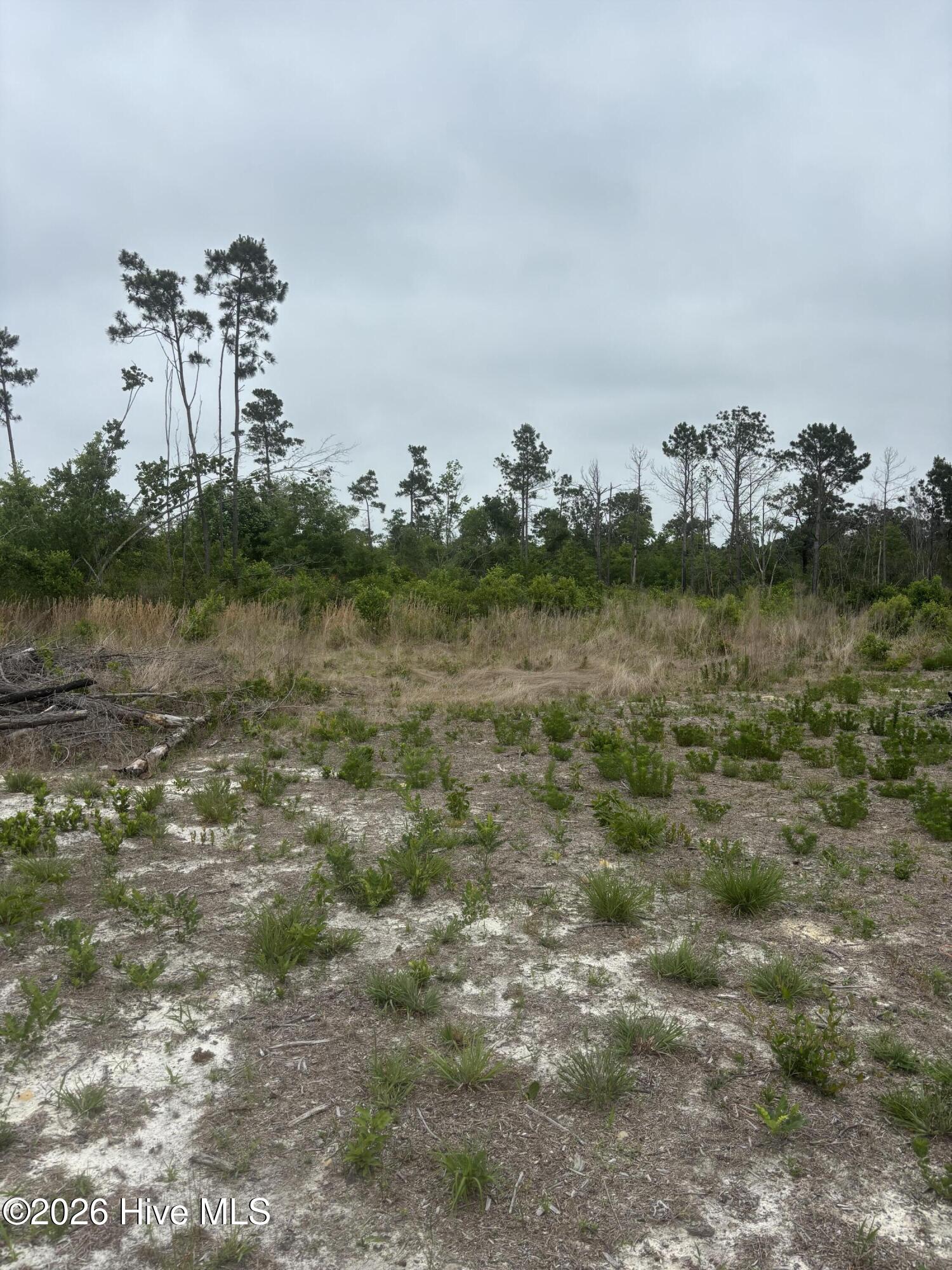 Lot 21 General Lee Lane Property Photo 1