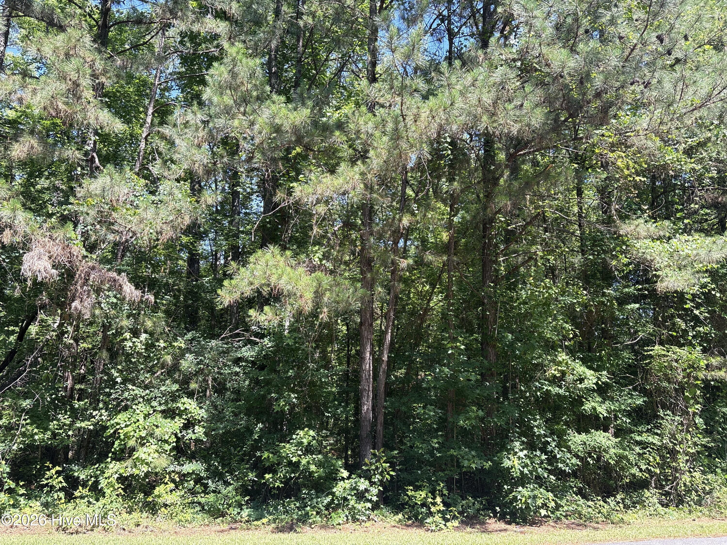 Lot 10 Bereau Drive Property Photo 2