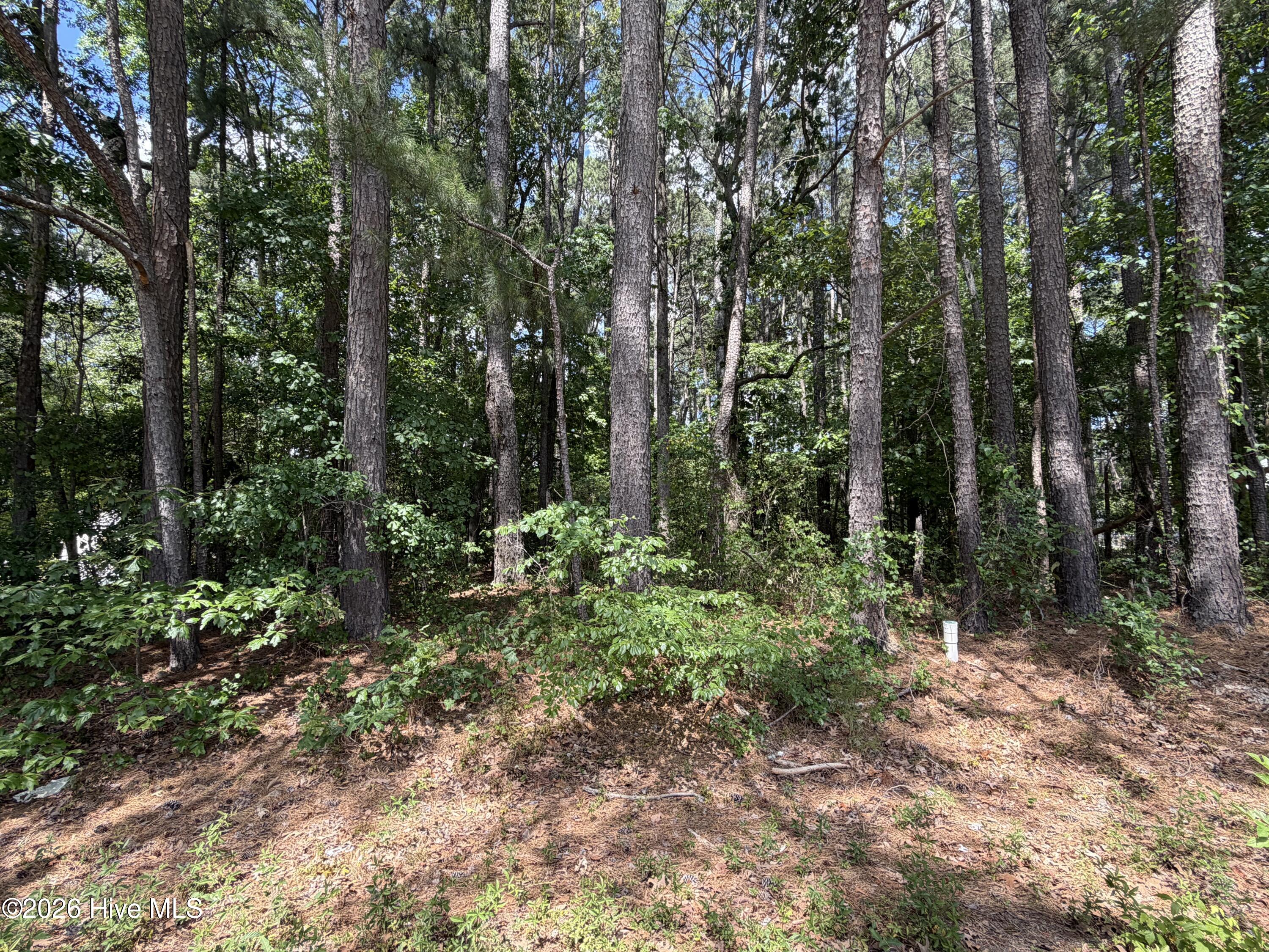 306 Daniel Drive Property Photo 1