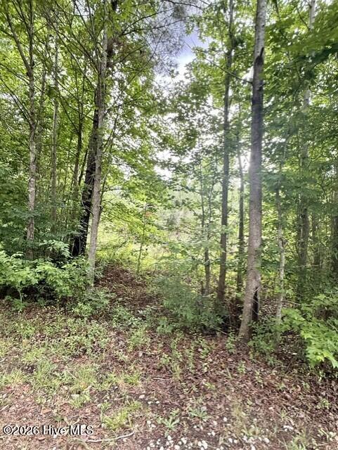 1537 Joy Road Property Photo 2