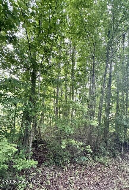 1537 Joy Road Property Photo 3