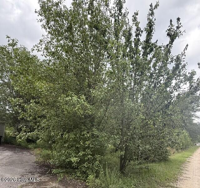 1537 Joy Road Property Photo 6