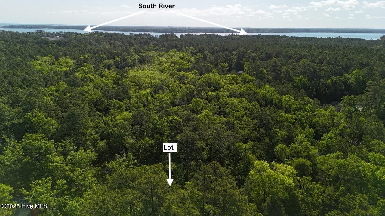 126 34 Deer Trail Property Photo 9