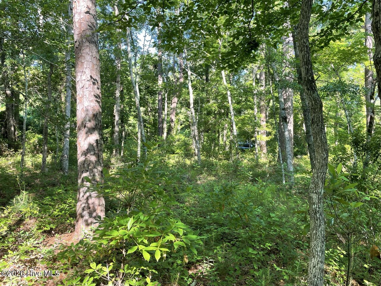 126 34 Deer Trail Property Photo 13
