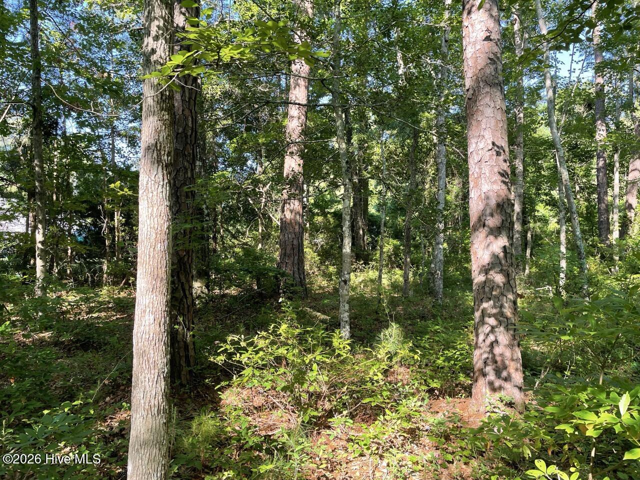 126 34 Deer Trail Property Photo 14