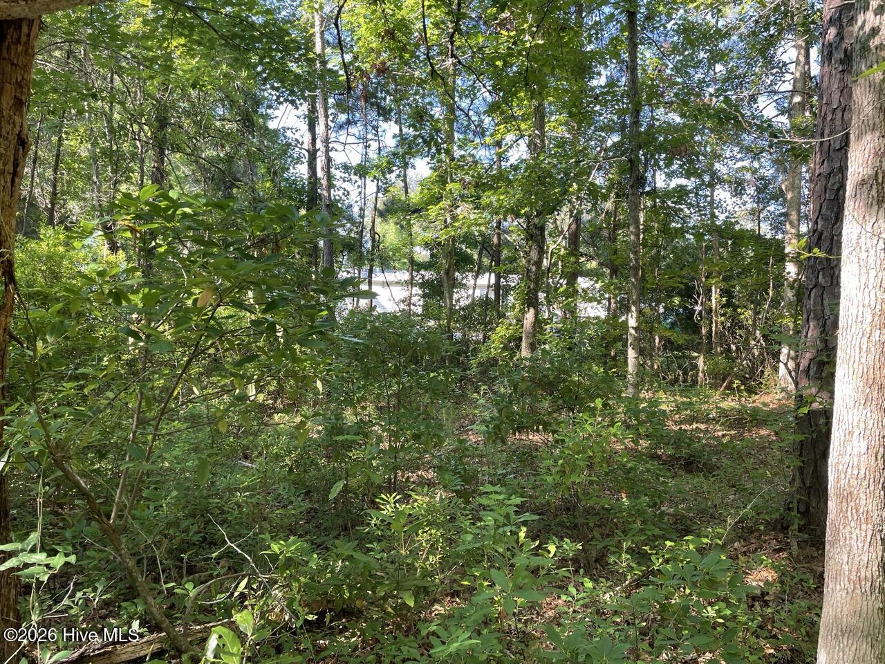 126 34 Deer Trail Property Photo 15