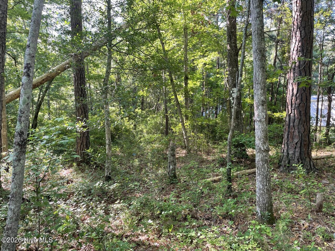 126 34 Deer Trail Property Photo 16