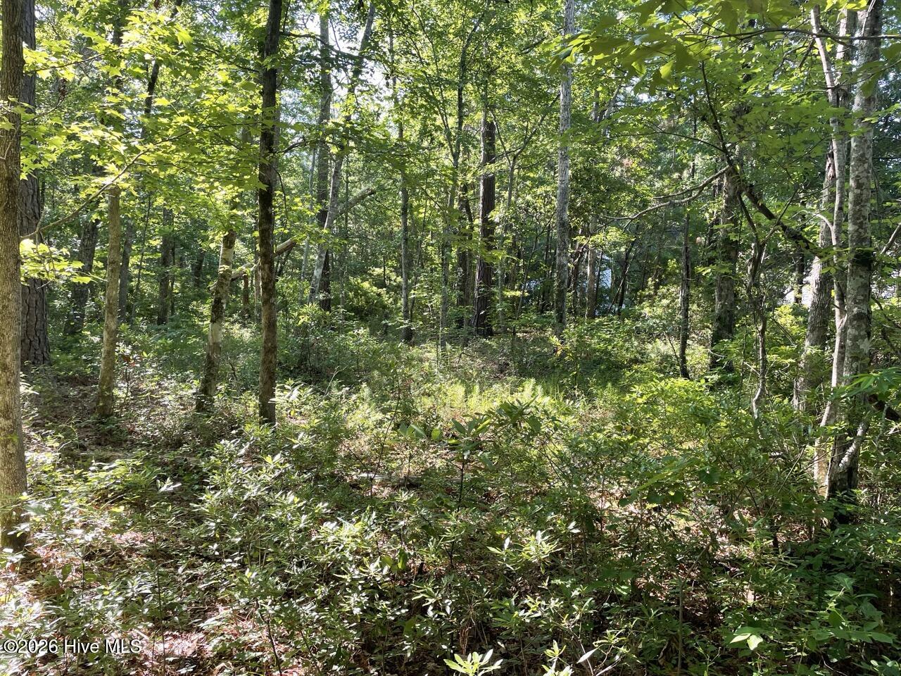 126 34 Deer Trail Property Photo 17