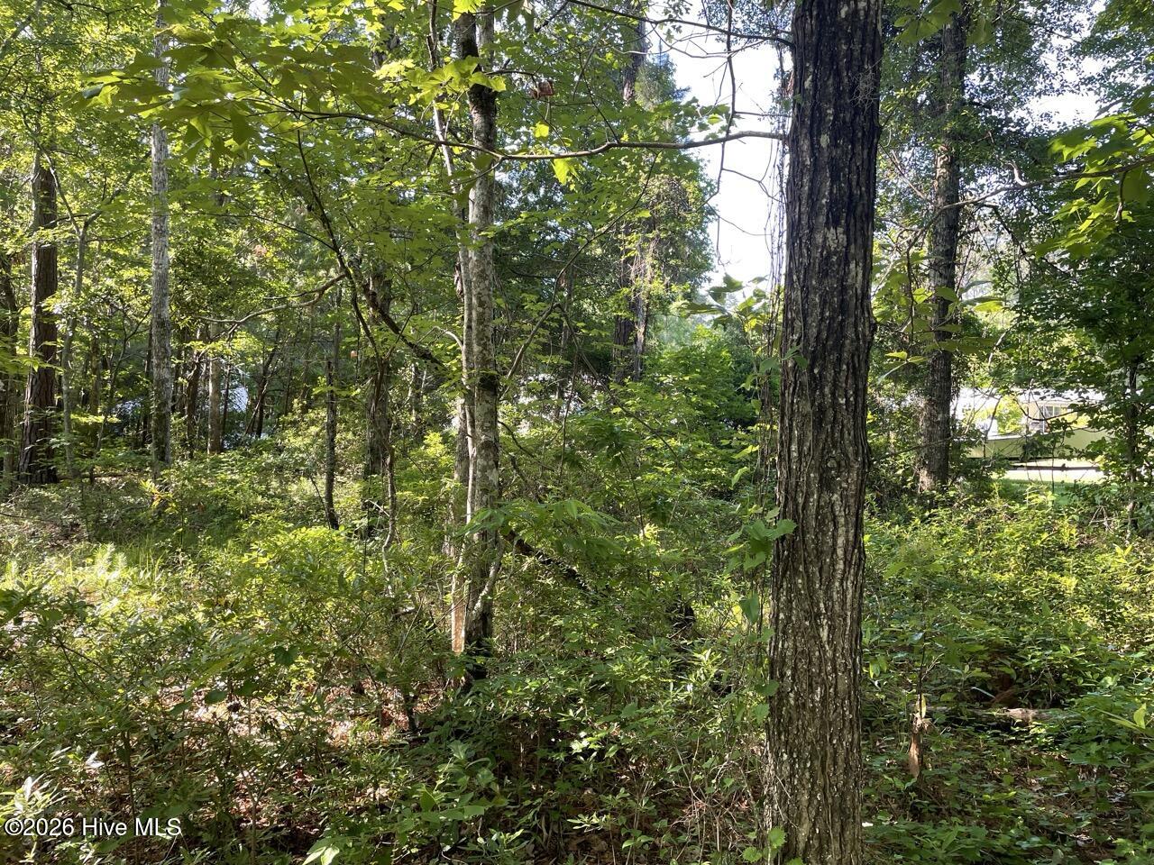 126 34 Deer Trail Property Photo 18