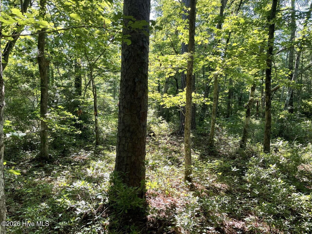 126 34 Deer Trail Property Photo 19
