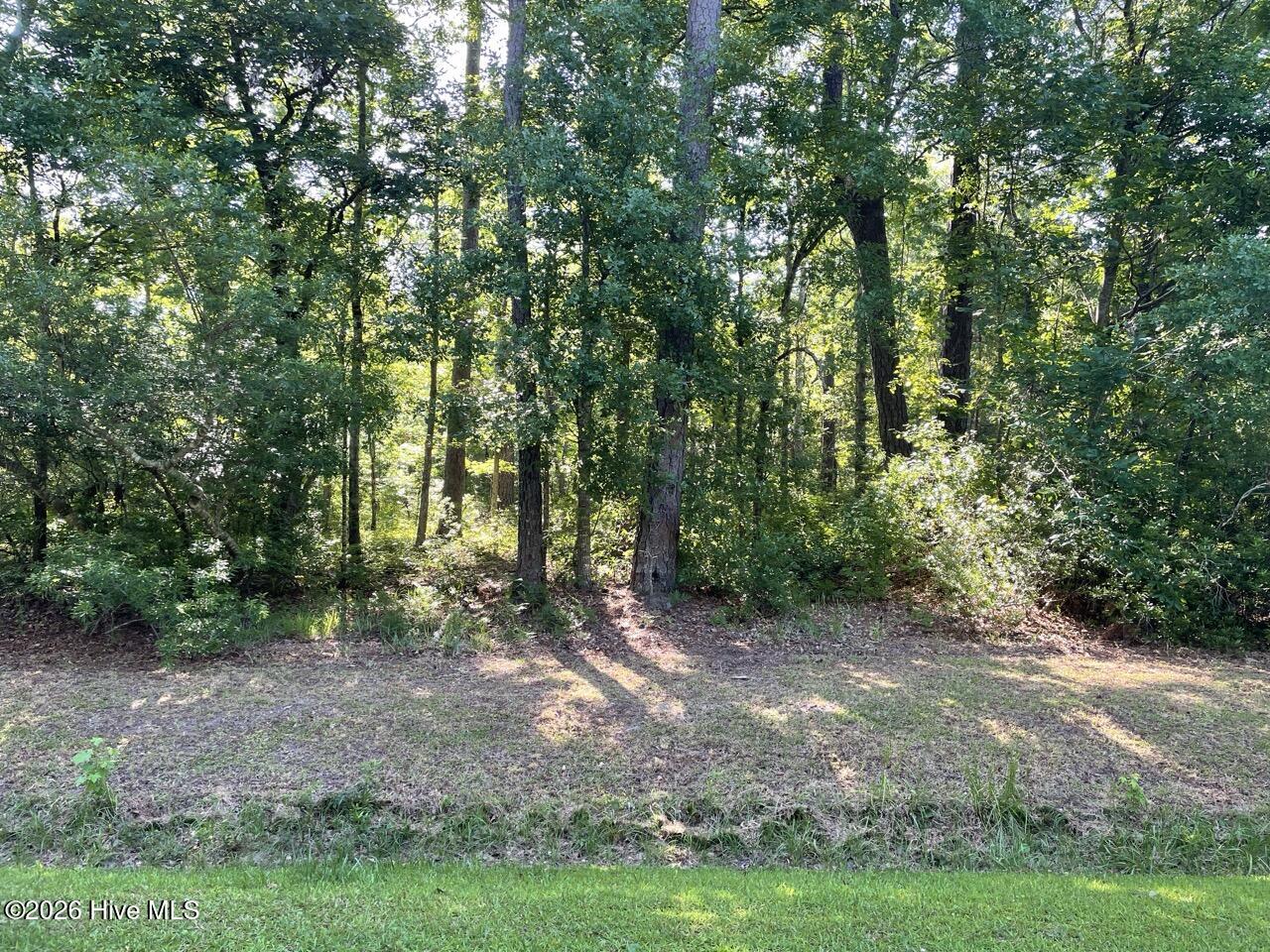 126 34 Deer Trail Property Photo 24