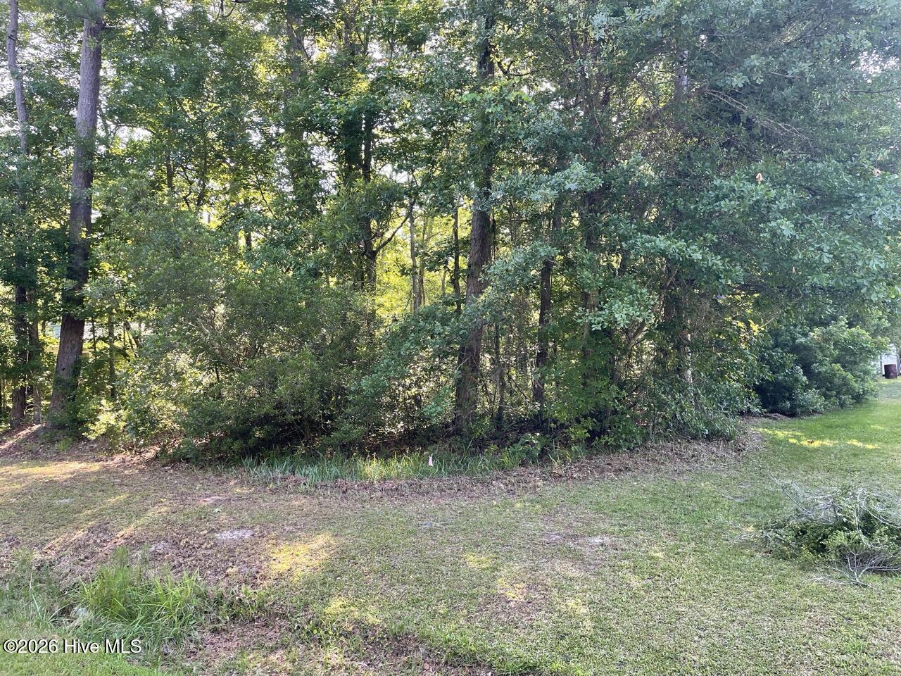 126 34 Deer Trail Property Photo 25