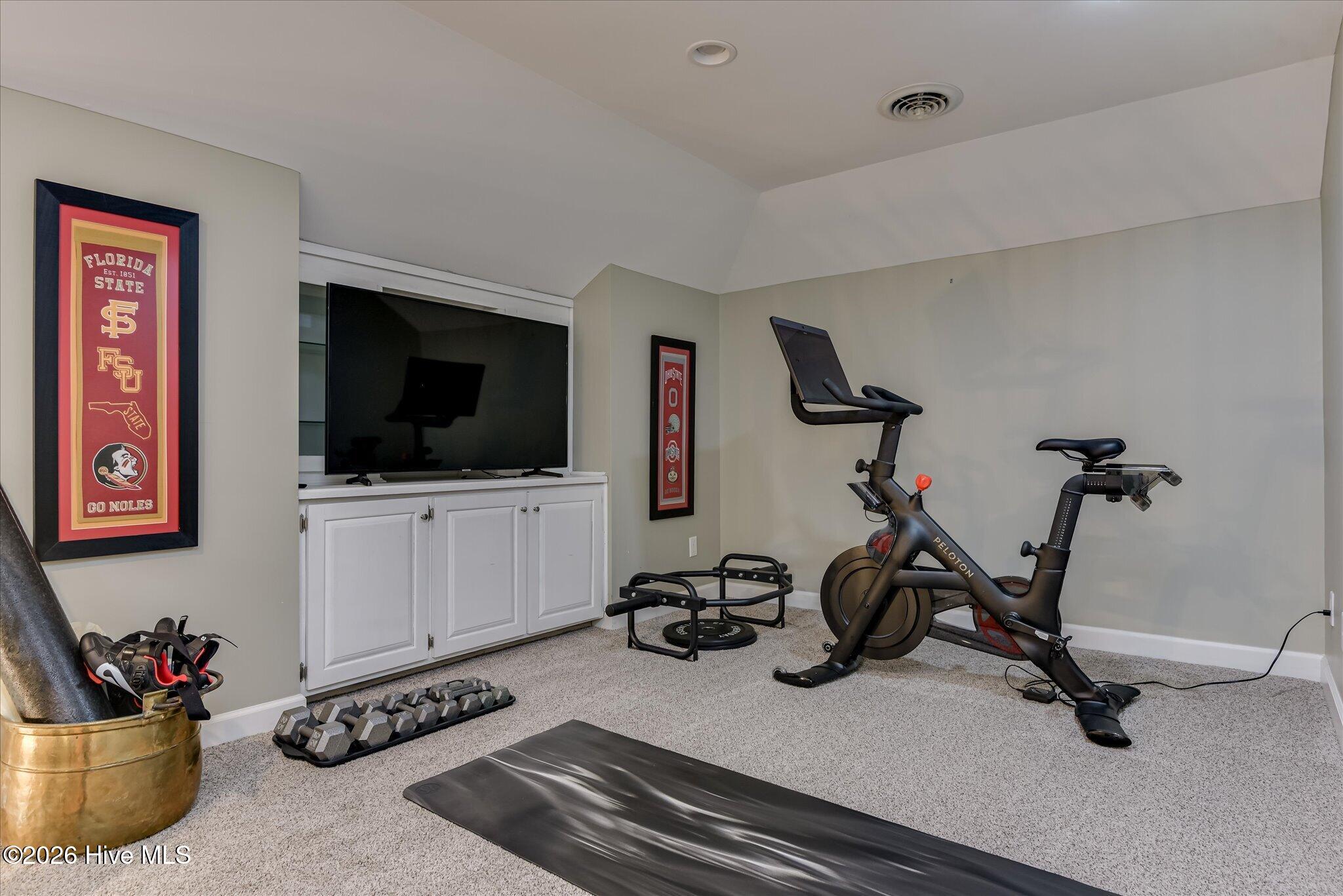 100 Scotch Pine Court Property Photo 39