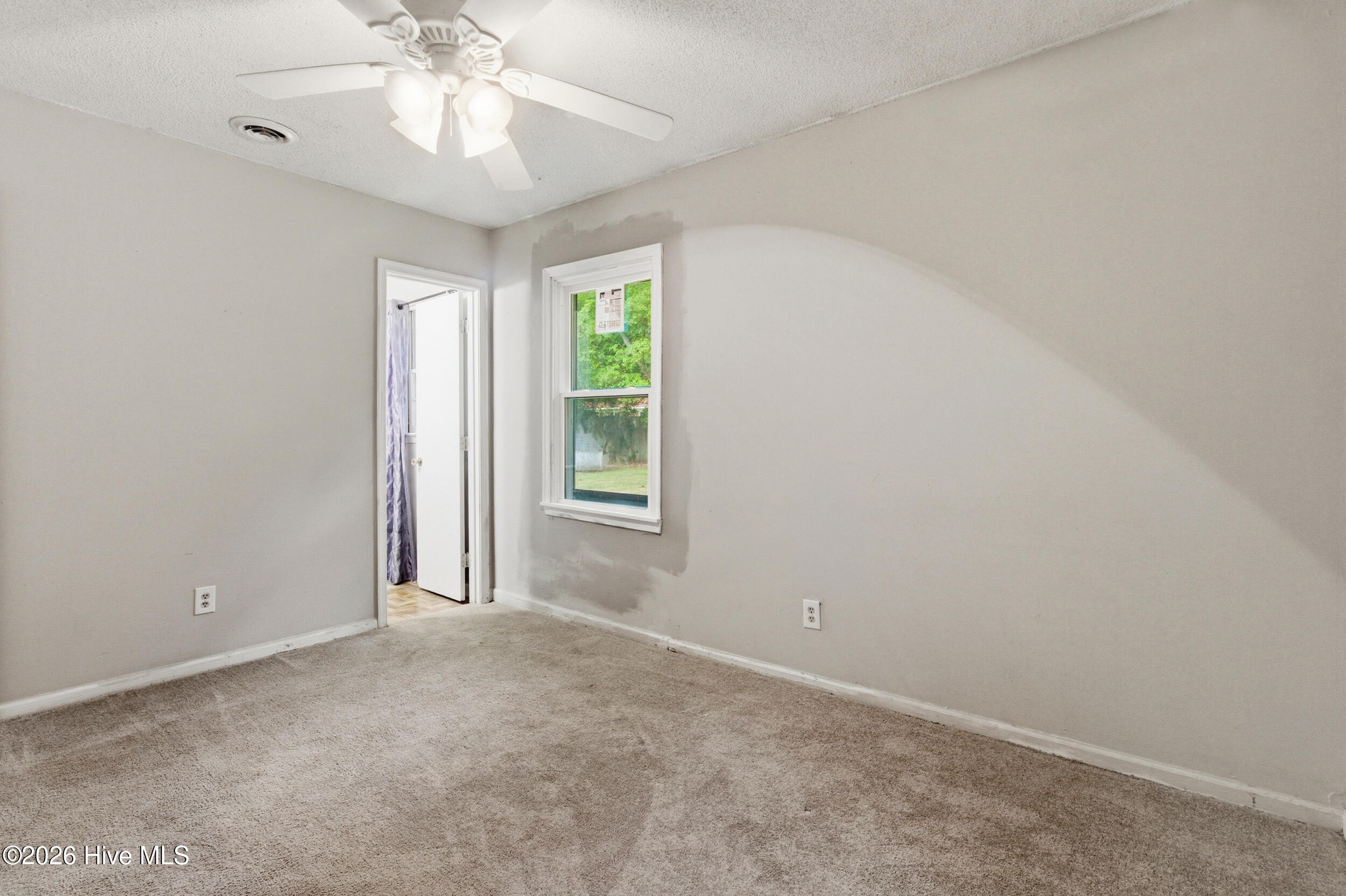 347 Jeanette Street Property Photo 15