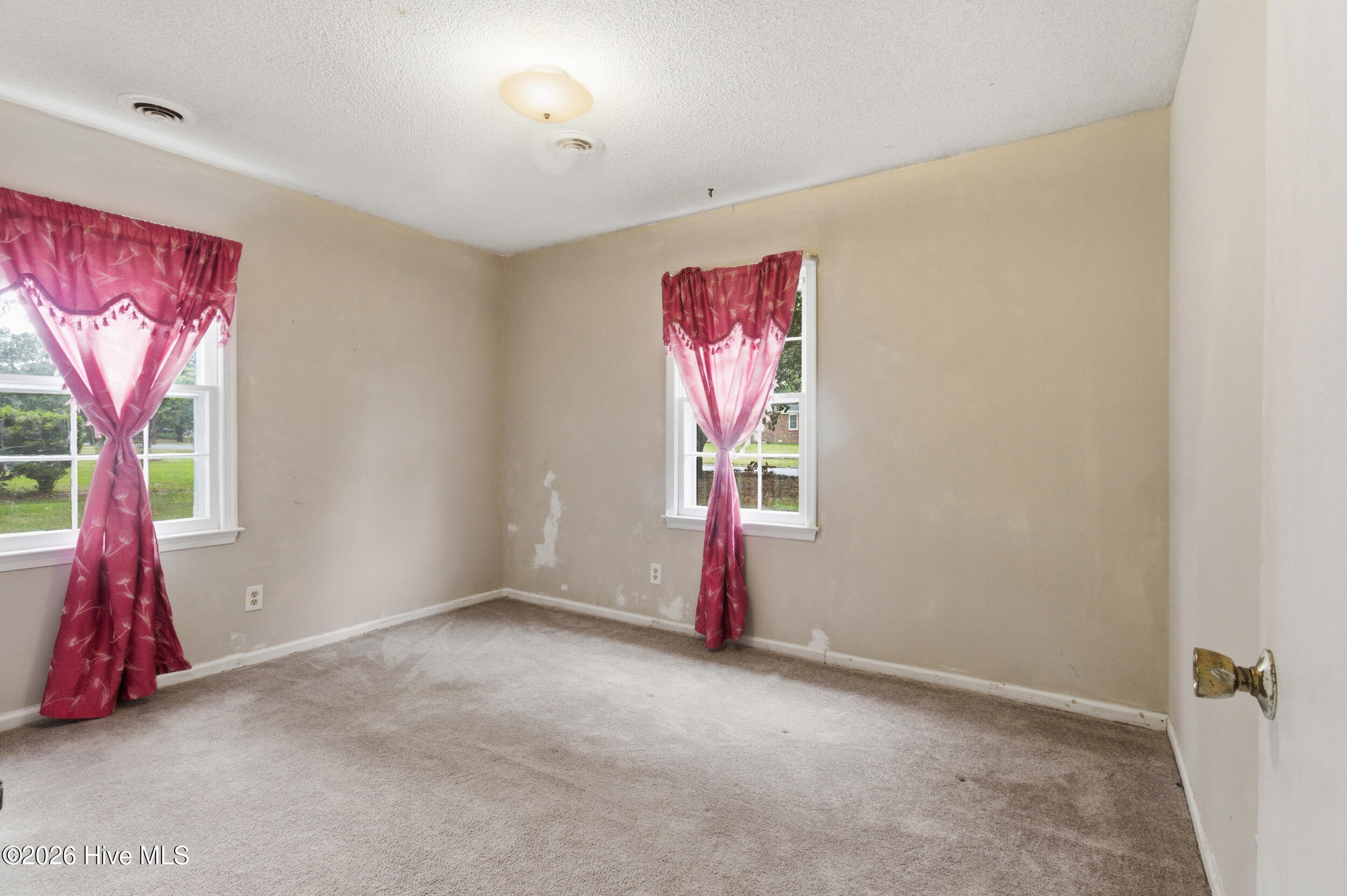 347 Jeanette Street Property Photo 19