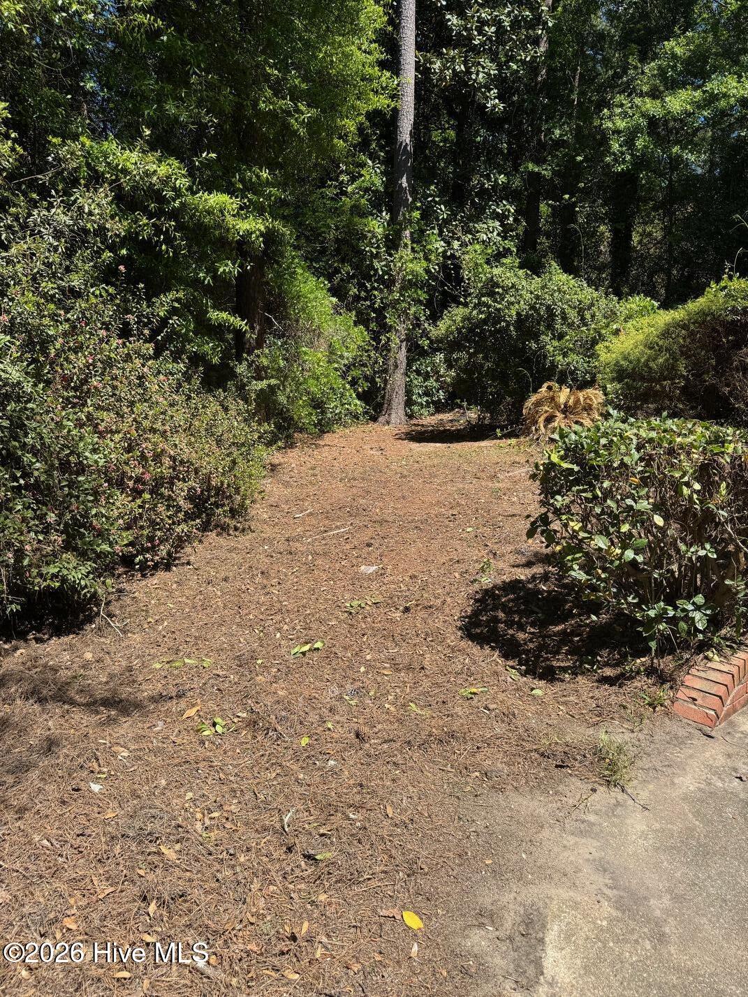 2224 Mirror Lake Drive Property Photo 13