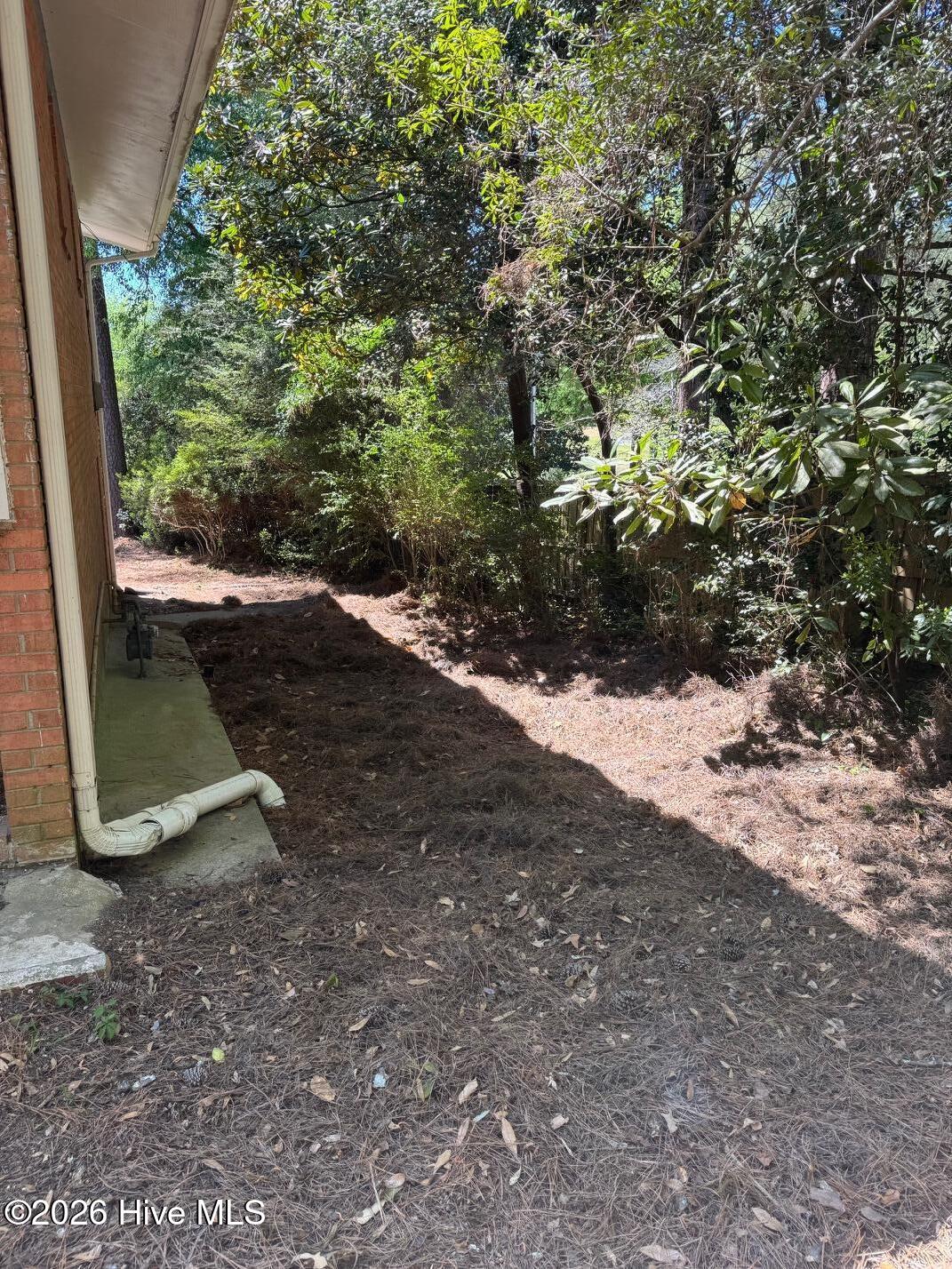 2224 Mirror Lake Drive Property Photo 14