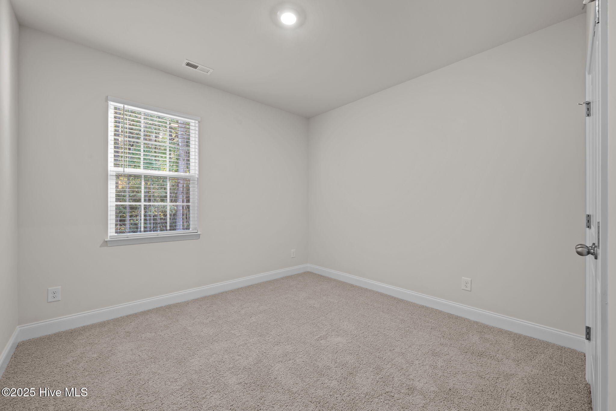 253 Lake Tyler Drive Property Photo 22