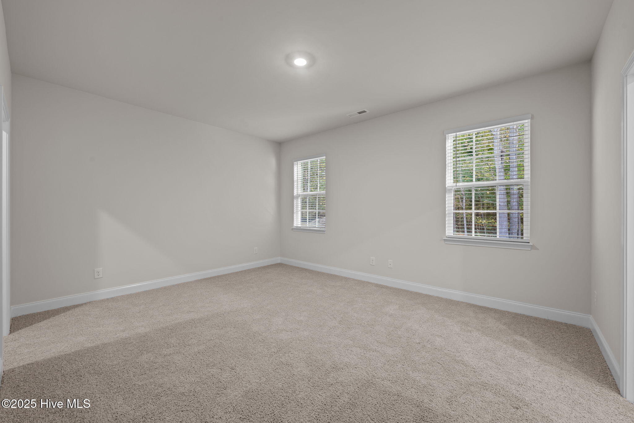 253 Lake Tyler Drive Property Photo 30