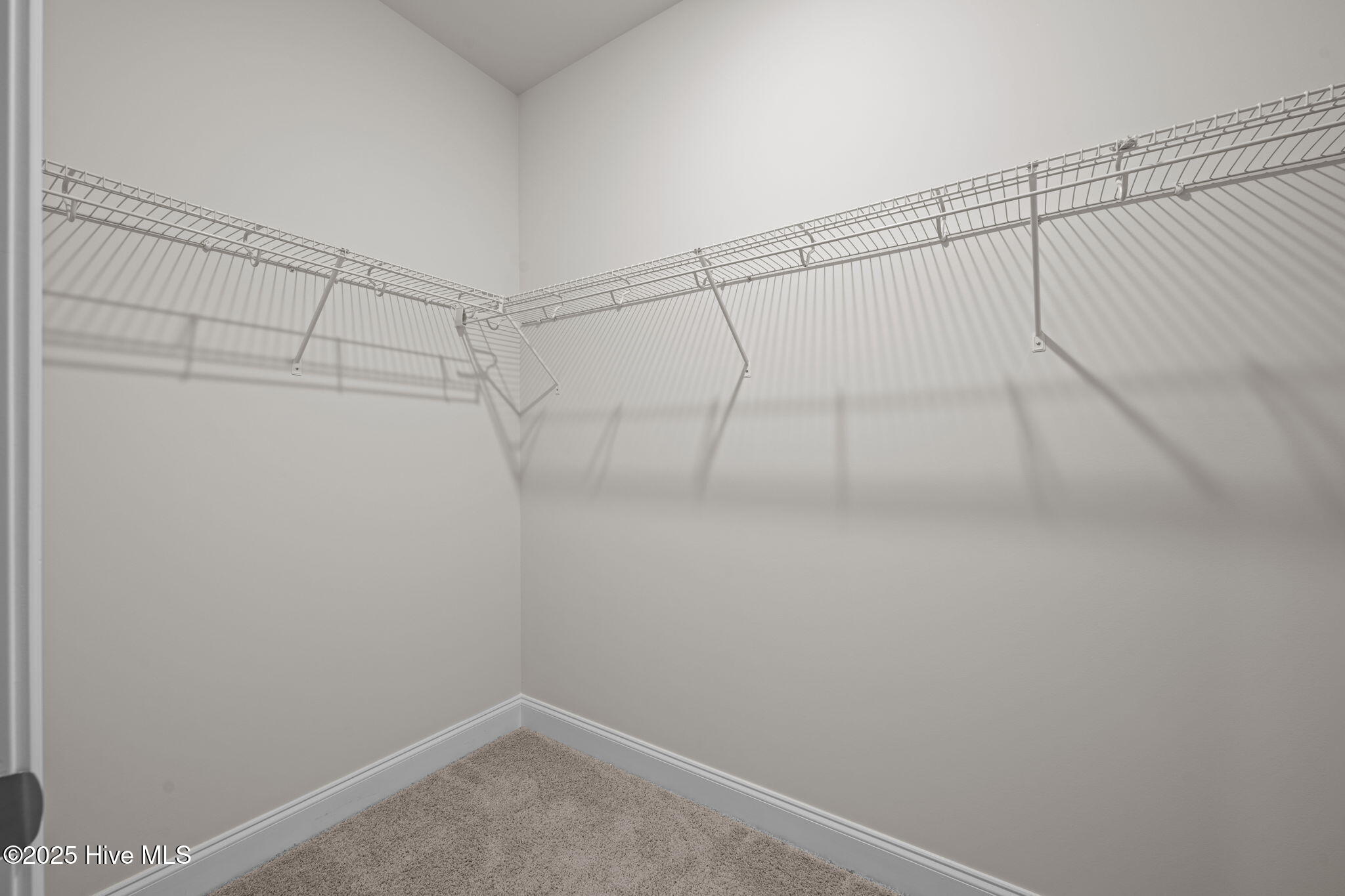 253 Lake Tyler Drive Property Photo 34