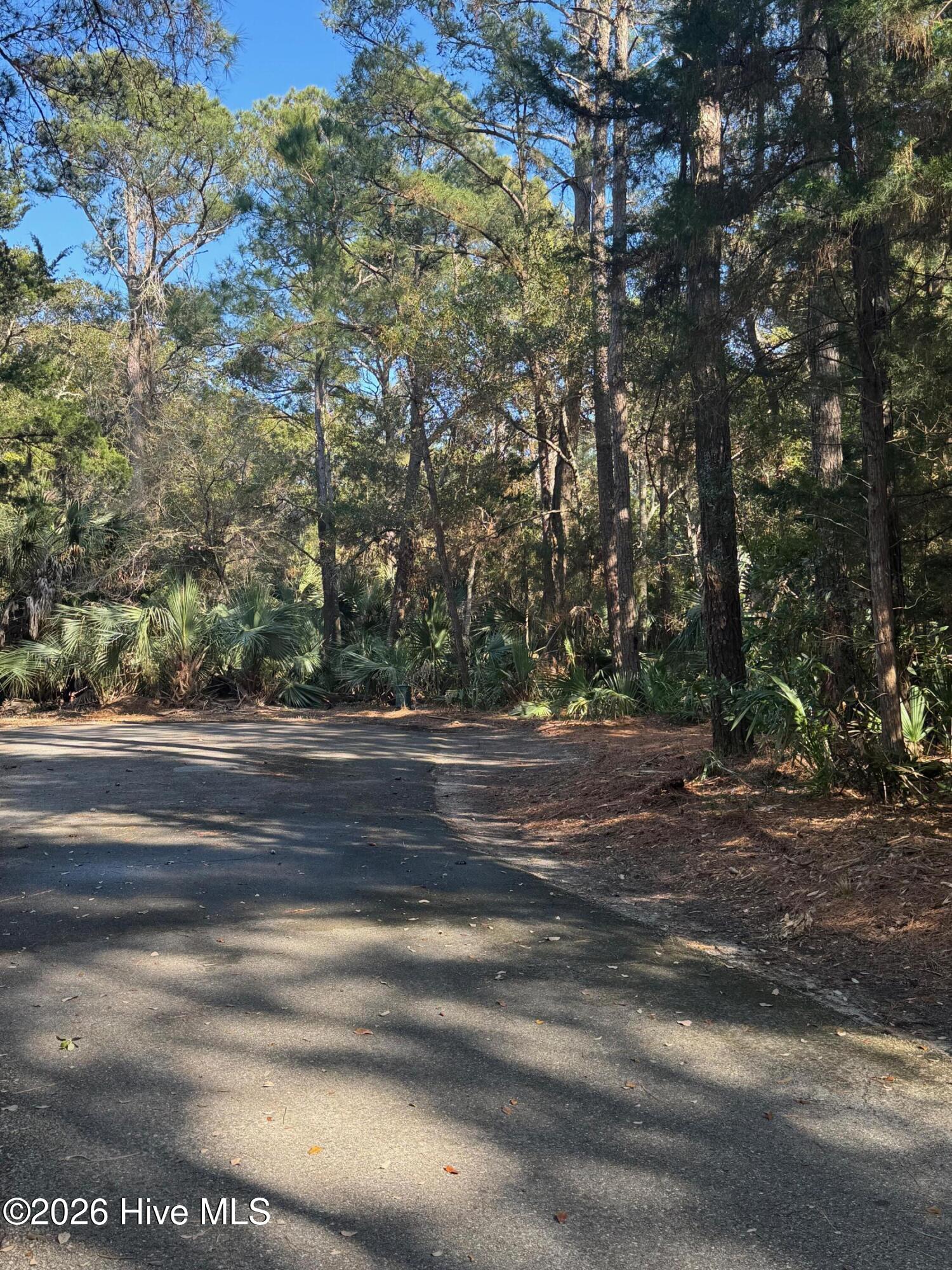 5 Gray Fox Court Property Photo 3