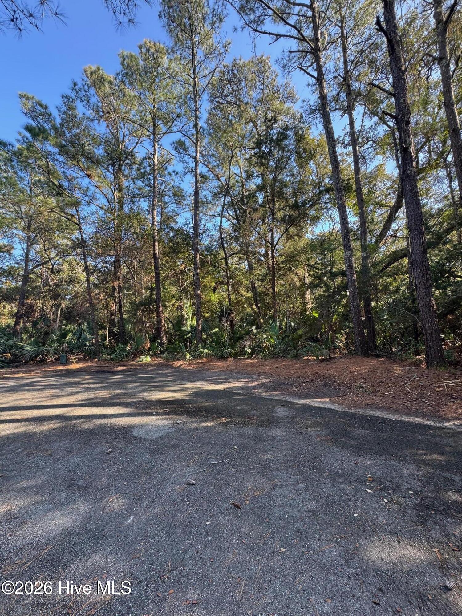 5 Gray Fox Court Property Photo 4