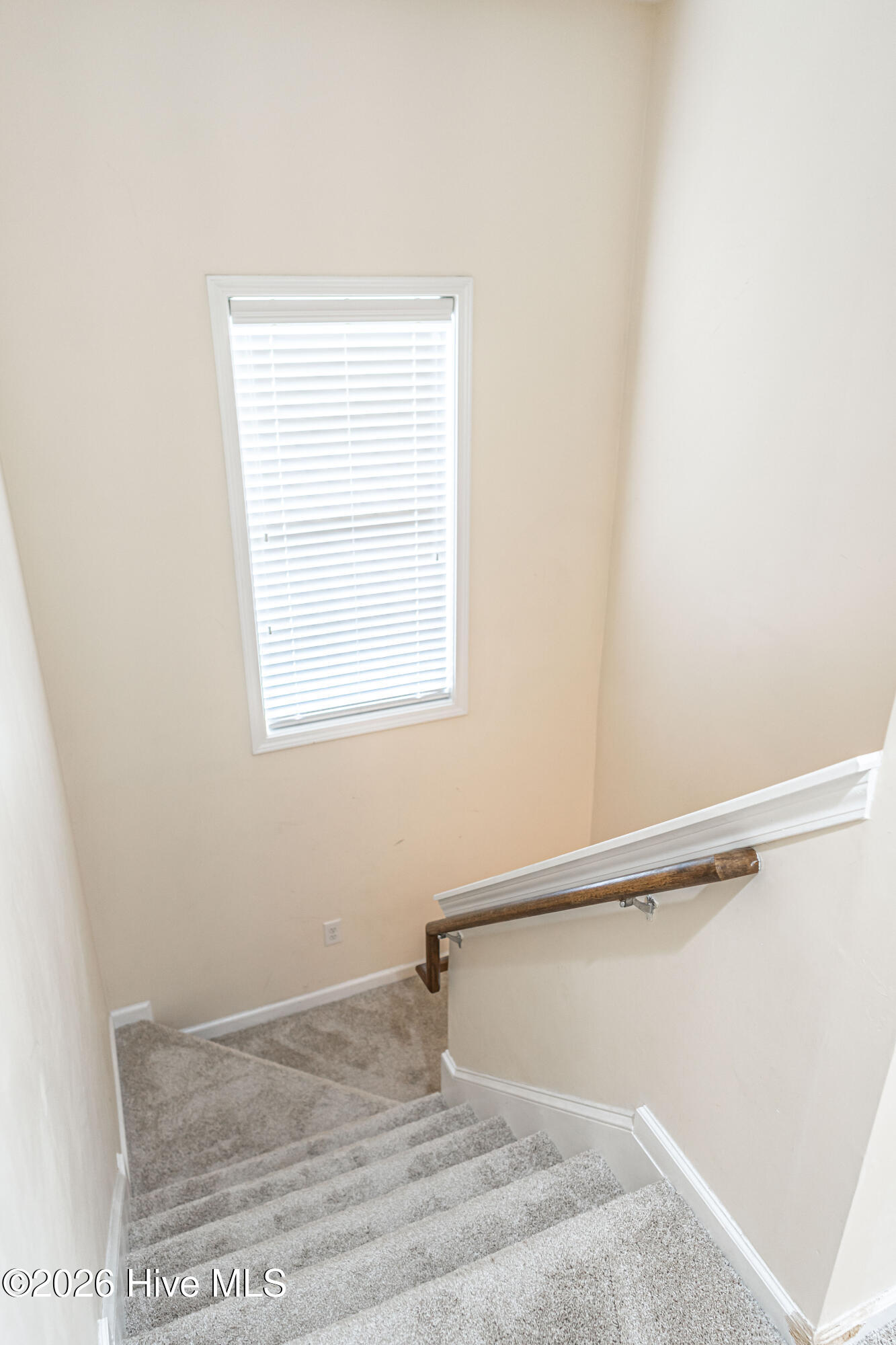 67 Century Drive Property Photo 36