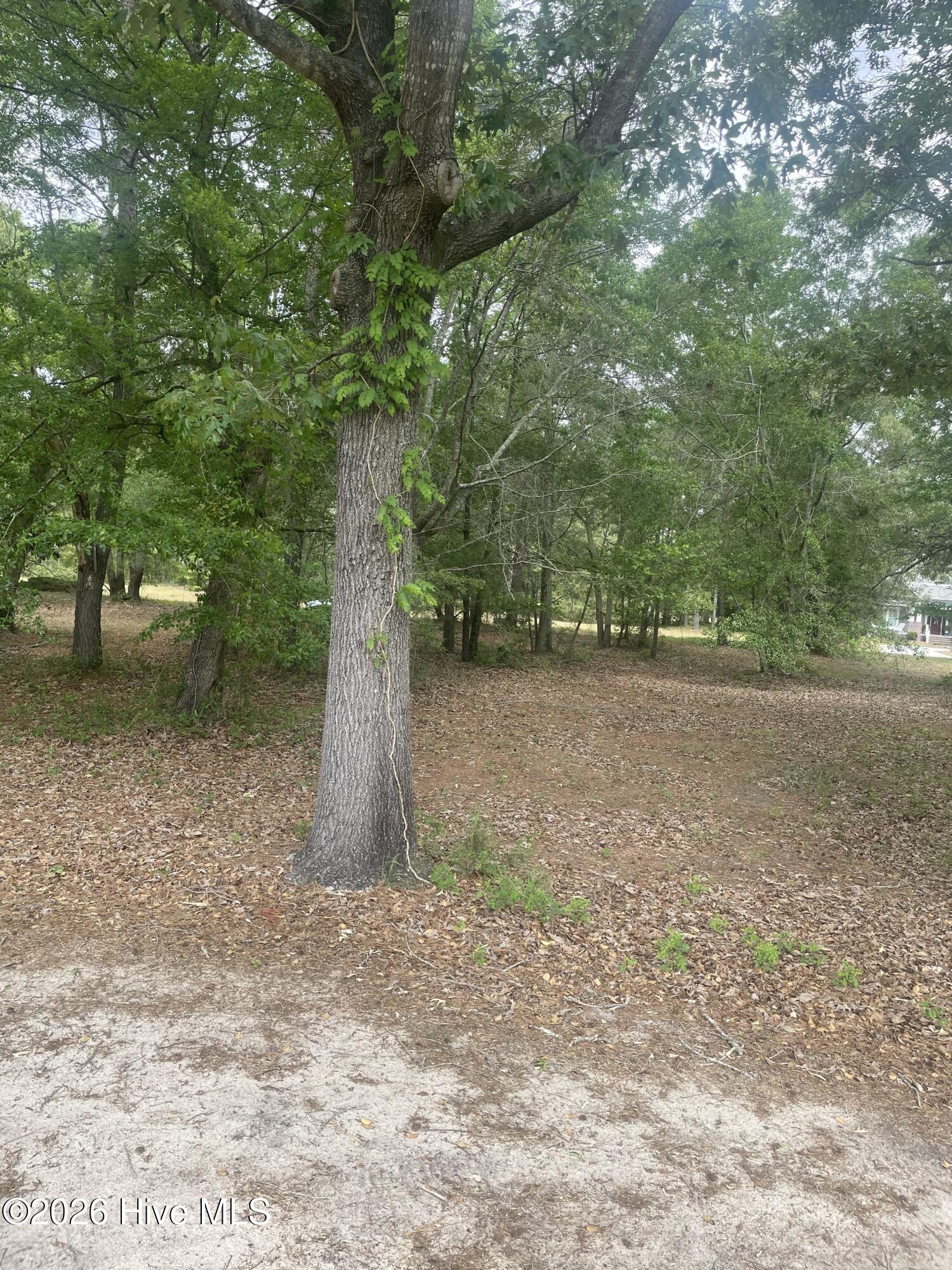 210 Cedar Point Drive Property Photo 7