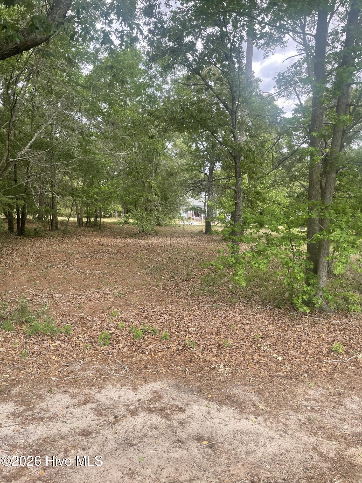 210 Cedar Point Drive Property Photo 8