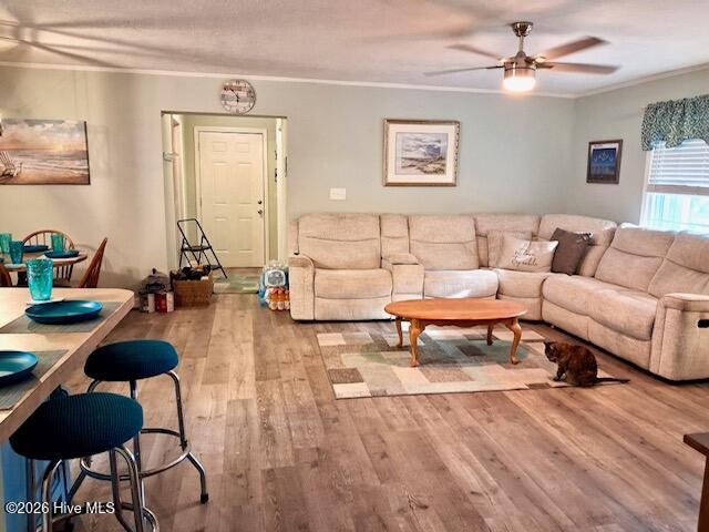 11 Fayetteville Road Property Photo 7