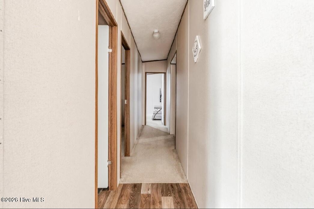20941 Iris Drive Property Photo 19